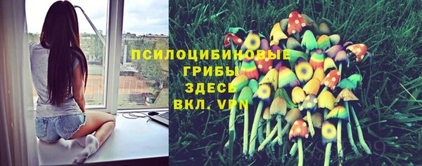 трава Бугульма