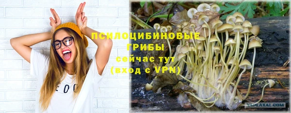 трава Бугульма